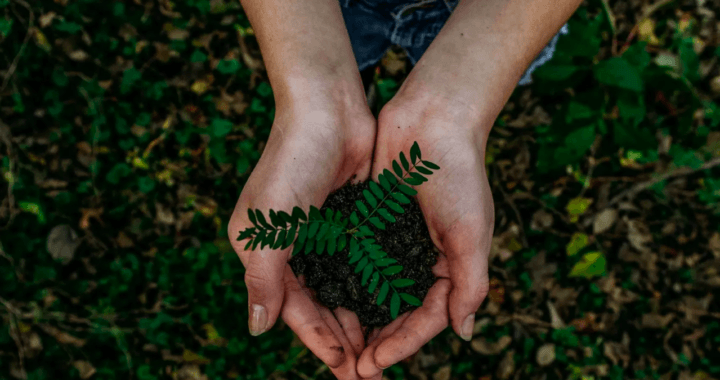 ¿Cómo empezar una vida sustentable?
