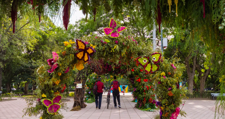 Festival de Flores y Jardines 2024: todo lo que debes saber